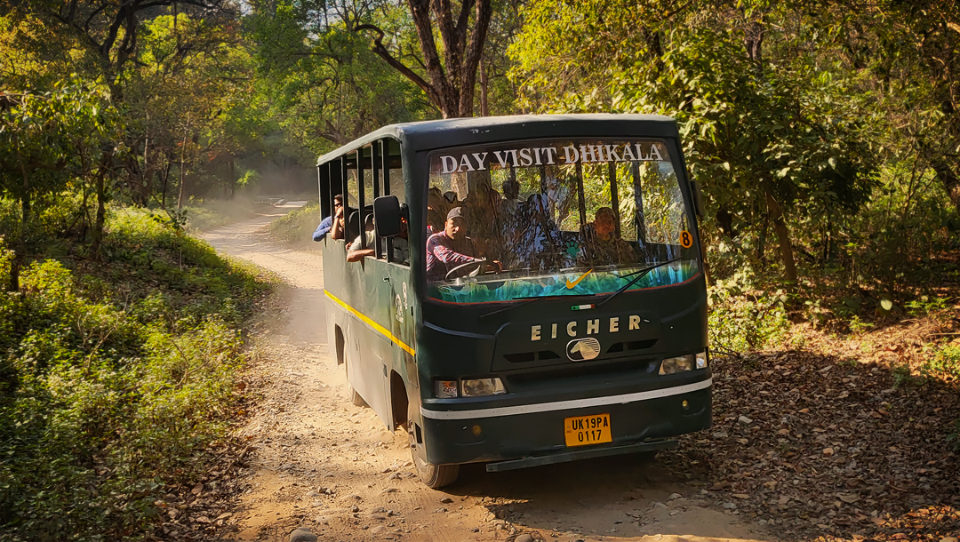 Canter Safari