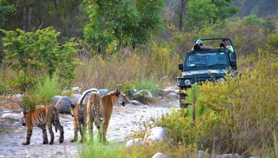 Jeep Safari