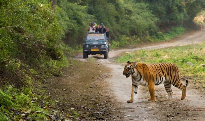 Jeep Safari